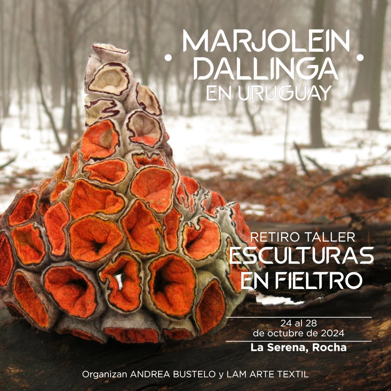 bloomfelt-marjolein-dallinga6-uruguay2024